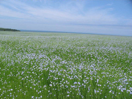 Ferme au Fil des Saisons