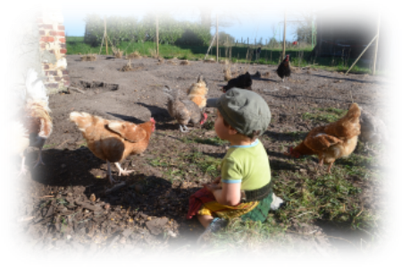 Ferme d'Animation du Long Réage