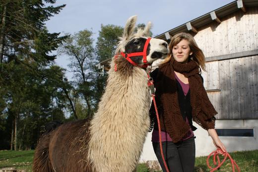 Ferme Découverte Elevage de Lamas du Doubs