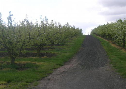 Ferme de Champlain