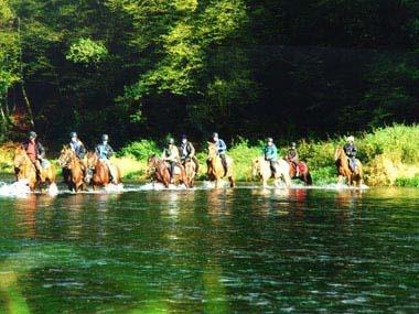 Ferme Equestre de la Chênaie