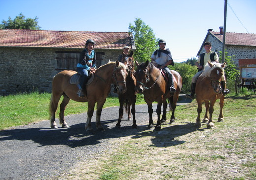 Ferme Equestre de Polytrait