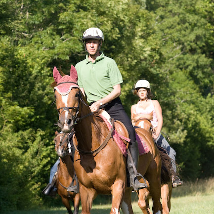 Ferme Equestre du Crabol