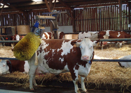 Ferme les Treize Fontaines