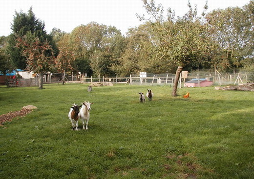 Ferme Nature La Dame Blanche