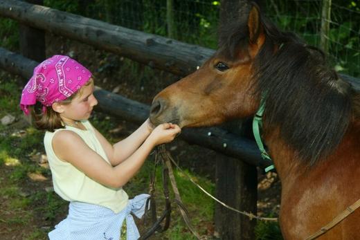 Ferme Pédagogique au Fer à Cheval