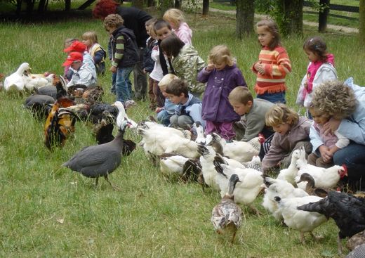 Ferme Pedagogique de Saint-Hilliers