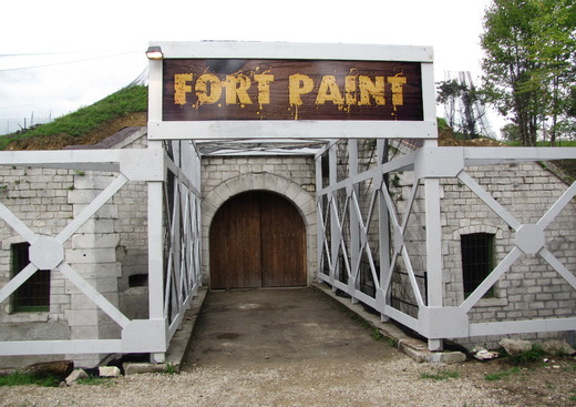 Fort-Paint