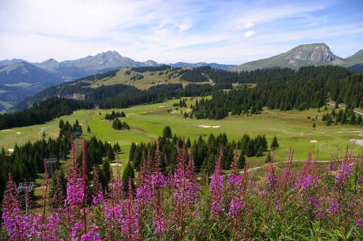 Golf Club d'Avoriaz