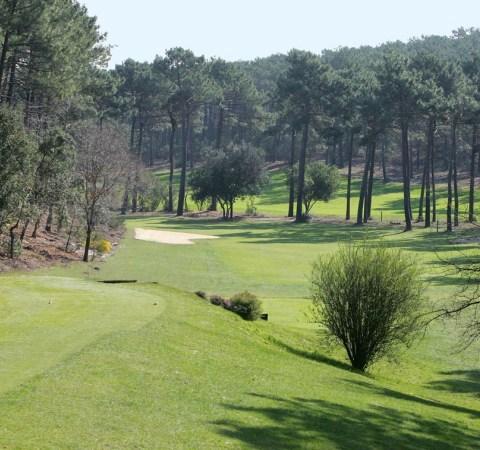 Golf de l'Ardilouse