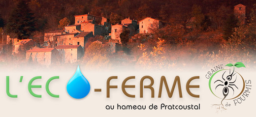 Graine de Fourmis Eco Ferme