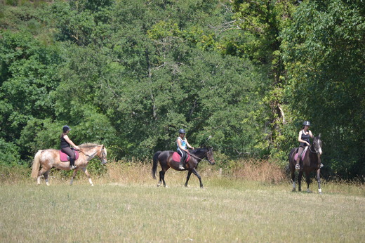 Haras de la Salmonière