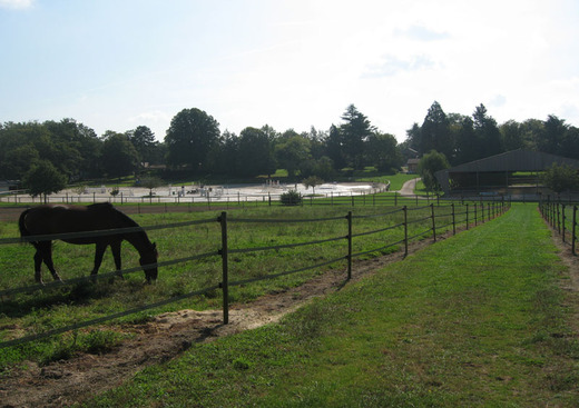 Haras de Louravi