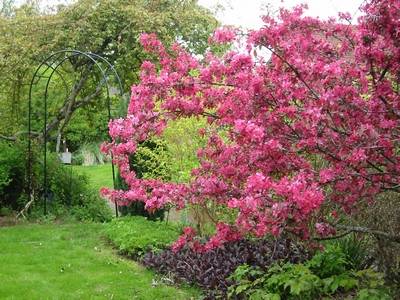 Jardin de Ginette