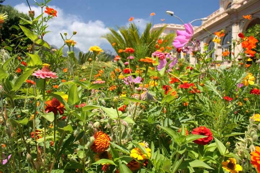 Jardin de la Serre de la Madone