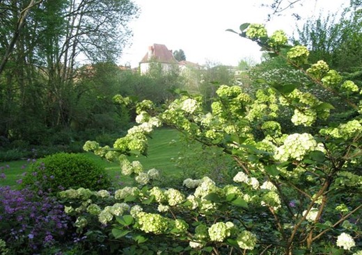 Jardin de Liliane