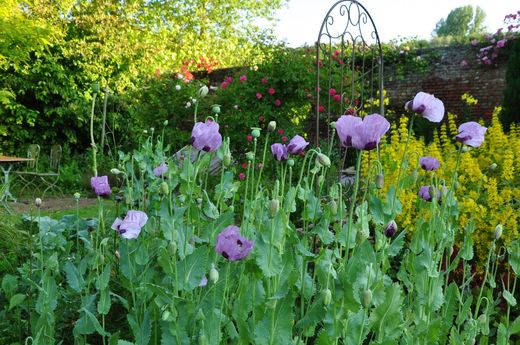 Jardin de Saint Jean