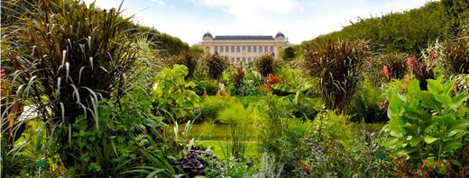 Jardin des Plantes