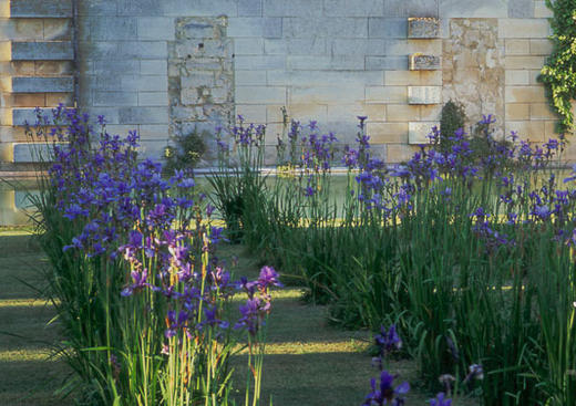 Jardin du Donjon de Vez