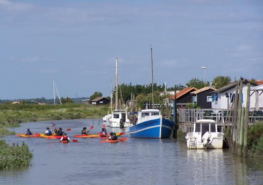 Découverte du marais de la Seudre en canoë-kayak