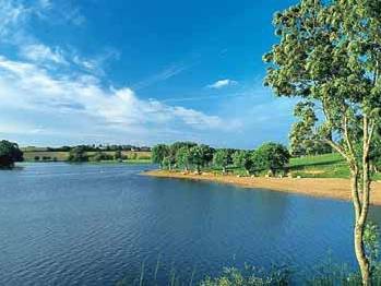 L'Etang de la Forge