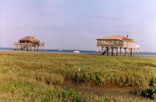 L'Île aux Oiseaux