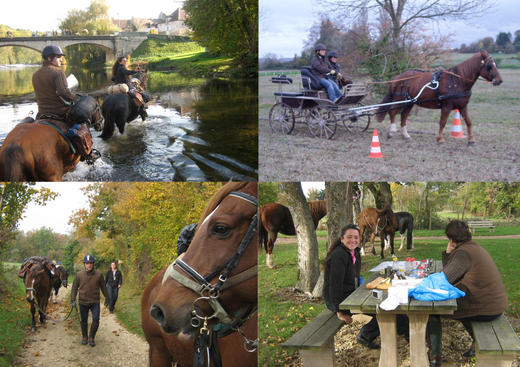 La Cavalerie du Moulin