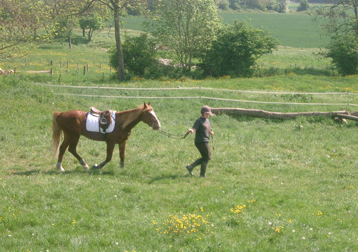 La Chevauchee