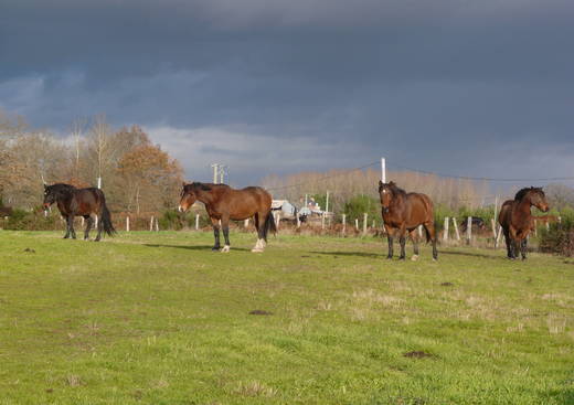 La Ferme du Tertre