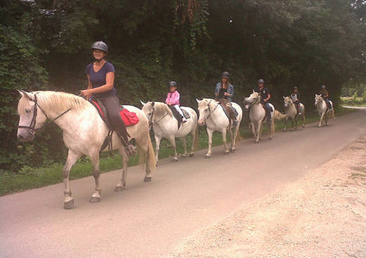 La Rando Camarguaise