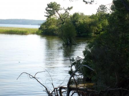 Lac de Cazaux