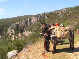 Les Anes de la Vallée du Lot