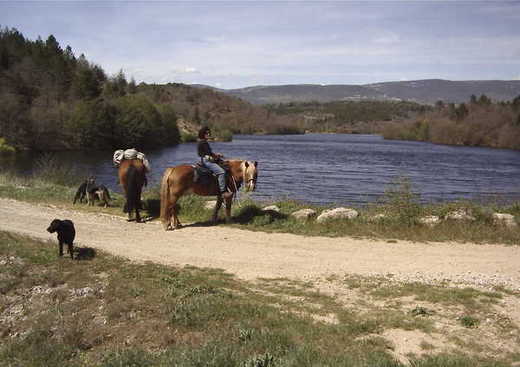 Les Chemins d'Hipparion