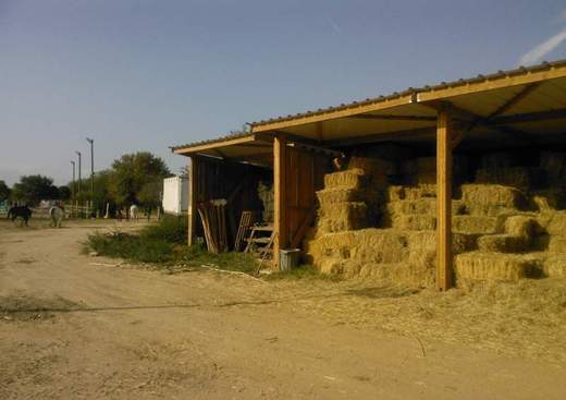 Les Chevauchées de Pégase