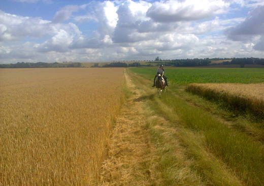 Les Chevaux des Preaux