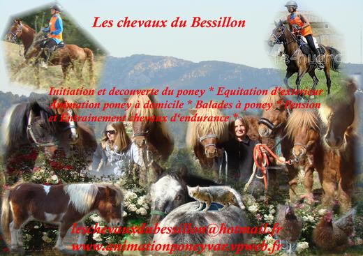 Les Chevaux du Bessillon