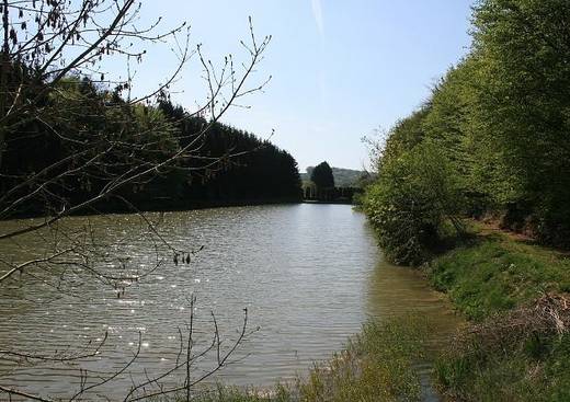 Les Etangs de Brouennes