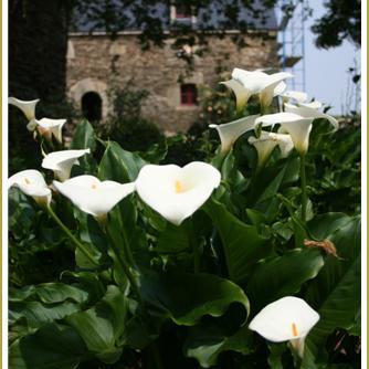 Les Jardins d'Ewen