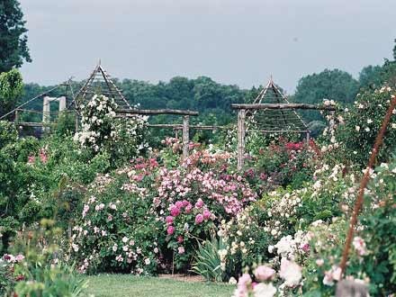 Les jardins de Roquelin