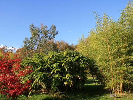 Les Jardins du Loriot