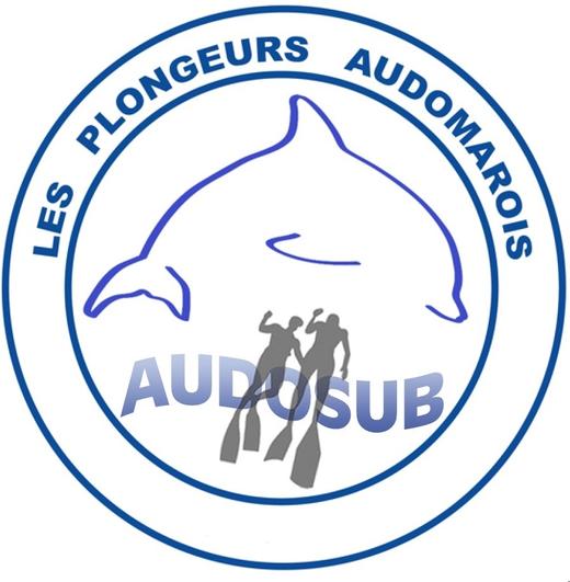 Les Plongeurs Audomarois, Audosub