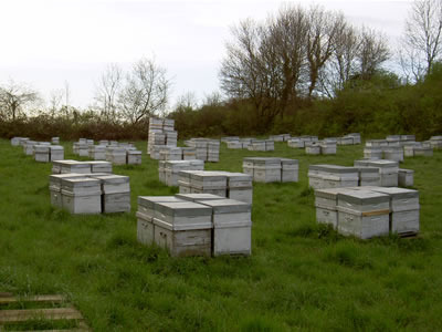 Les Ruchers du Bon Val