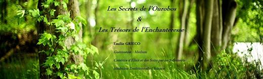 Les Secrets de l'Ourobos