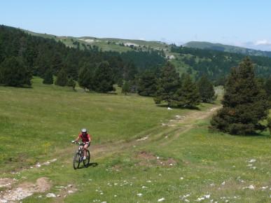 Les sentes du Vercors, VTT en liberté