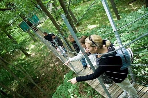 Les sentiers suspendus de l'Odyssée Verte