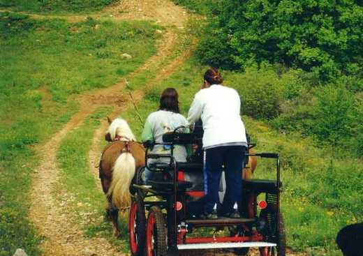 Les Traits de Provence