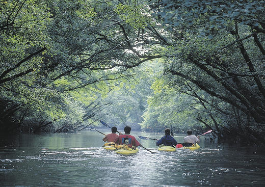 Location Canoë Kayak Maison de la Nature du Bassin