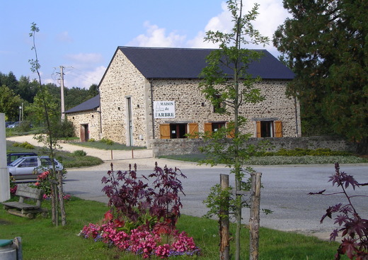 Maison de l'arbre et de la nature, jardin des sent