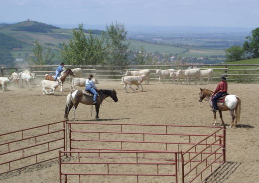 Mathew's Ranch - Équitation Western