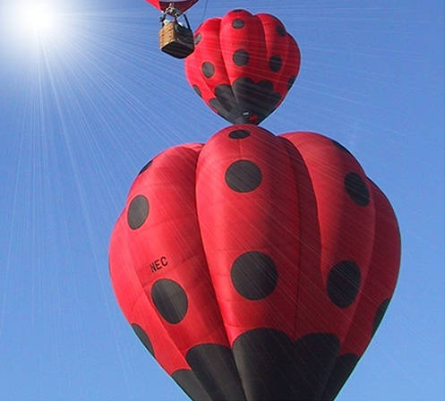 Montgolfières Nacelle et Coccinelle